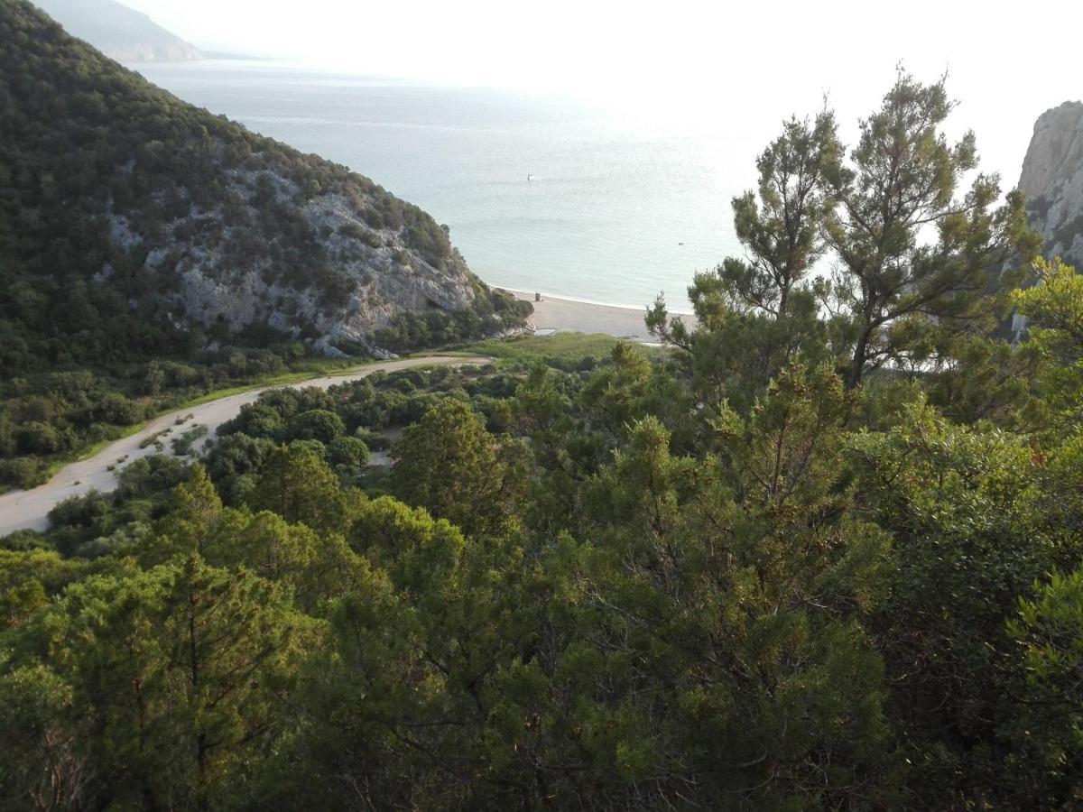 Monolocale Marizzola Lejlighed Cala Gonone Eksteriør billede