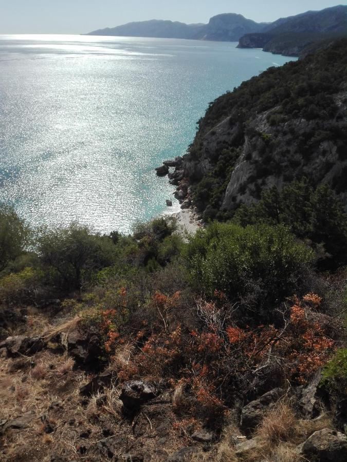 Monolocale Marizzola Lejlighed Cala Gonone Eksteriør billede