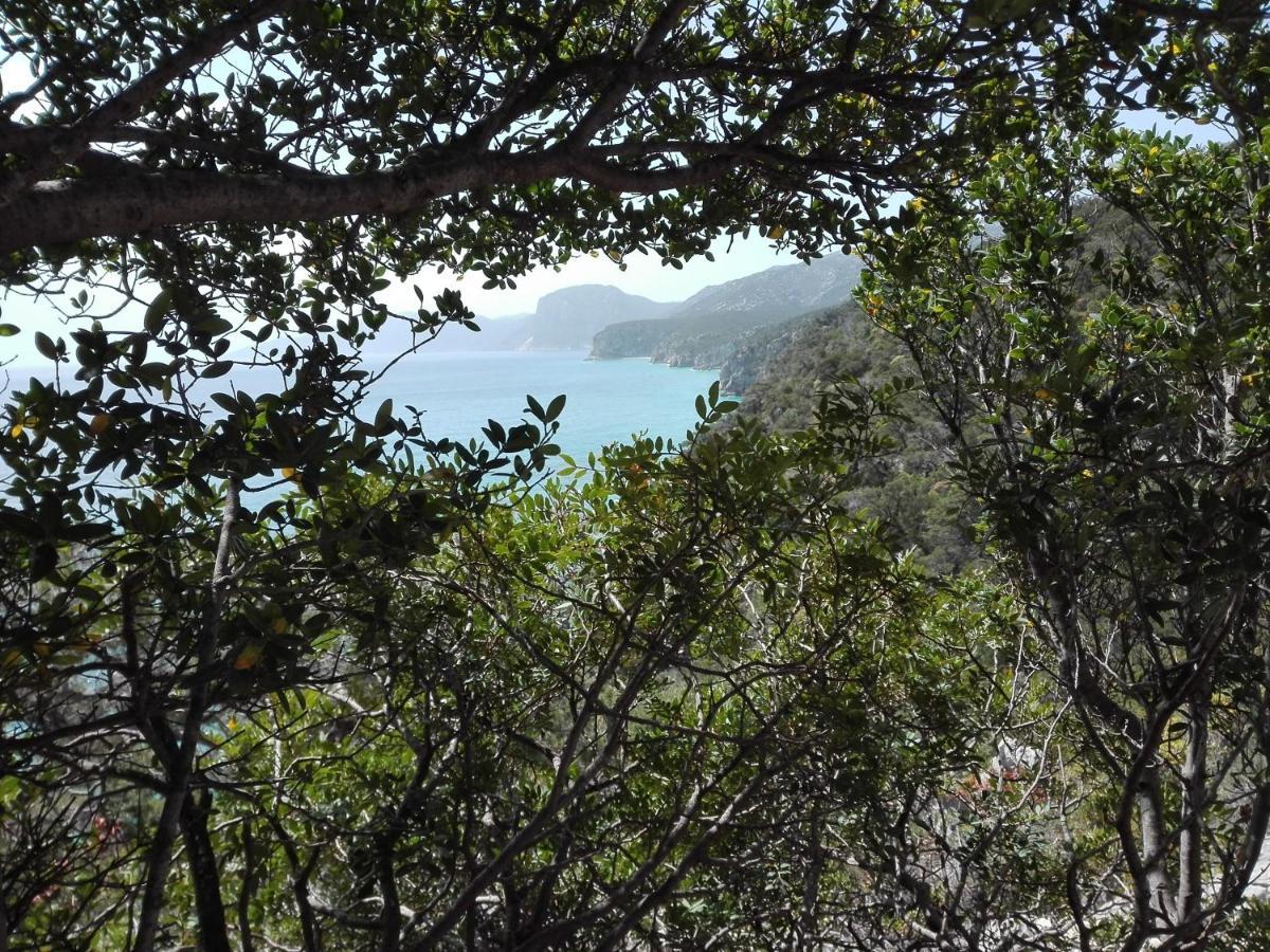 Monolocale Marizzola Lejlighed Cala Gonone Eksteriør billede