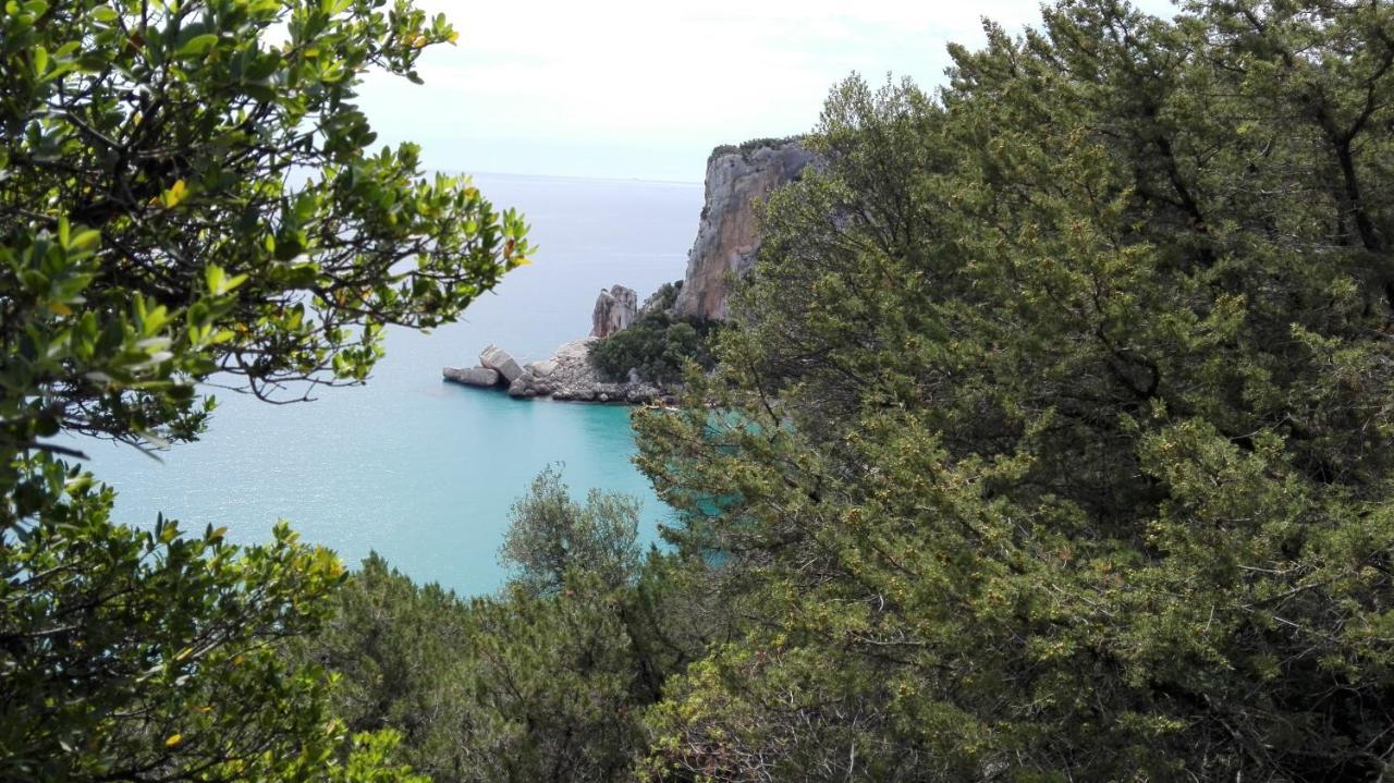 Monolocale Marizzola Lejlighed Cala Gonone Eksteriør billede