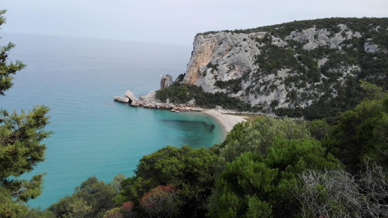 Monolocale Marizzola Lejlighed Cala Gonone Eksteriør billede