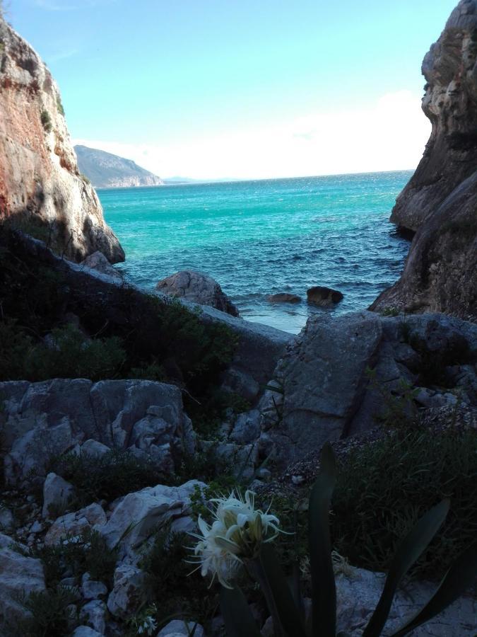 Monolocale Marizzola Lejlighed Cala Gonone Eksteriør billede